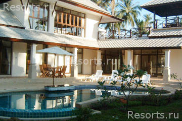 Coconut Paradise 43